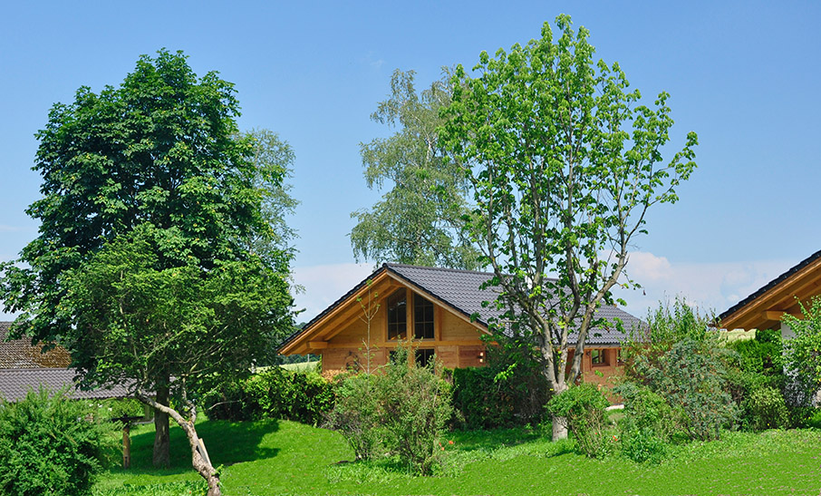 Luxus Urlaub mit Hund in den Bayern Chalets